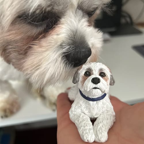 Cuchara para comida de gato personalizada con nombre, regalo para amantes de las mascotas