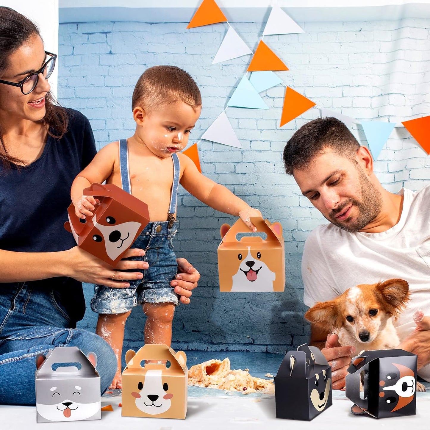 Haustier-Geschenkbox-1