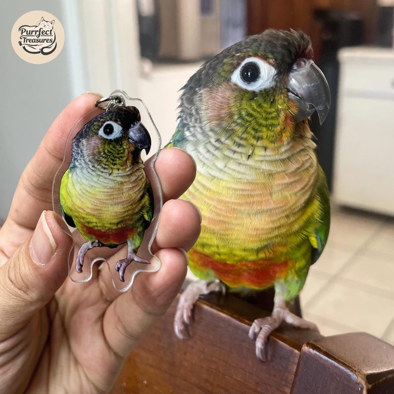 Letrero conmemorativo personalizado para collar de mascota con oreja y nombre, regalo para amantes de las mascotas