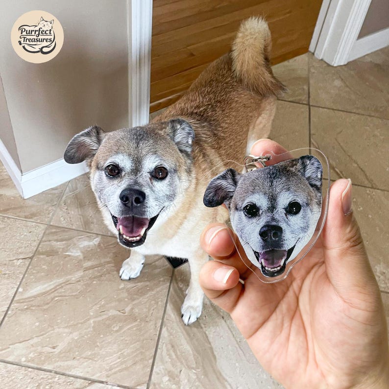 Letrero conmemorativo personalizado para collar de mascota con oreja y nombre, regalo para amantes de las mascotas