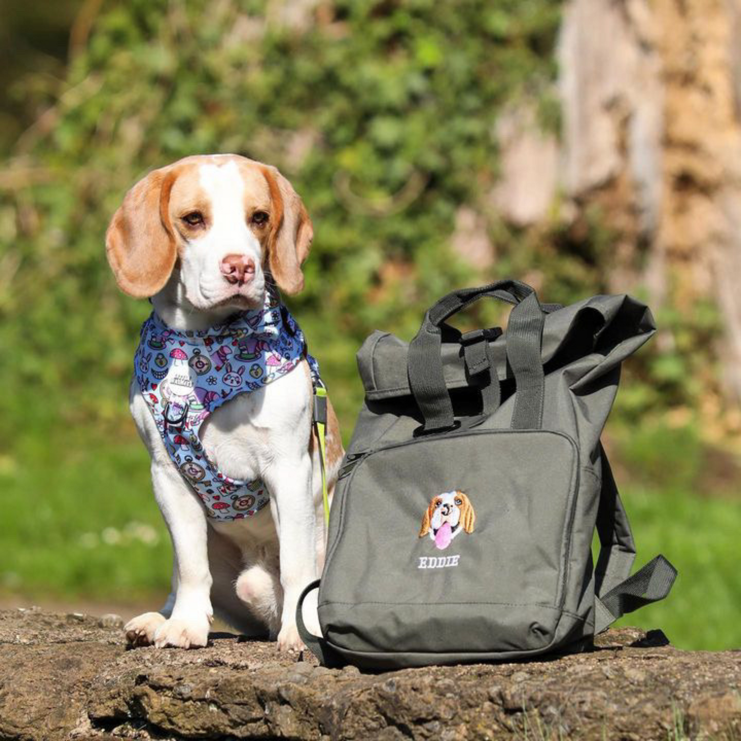 Cara de mascota bordada personalizada y nombre de mascota sudadera retrato de perro bordado cuello redondo regalo amante de las mascotas