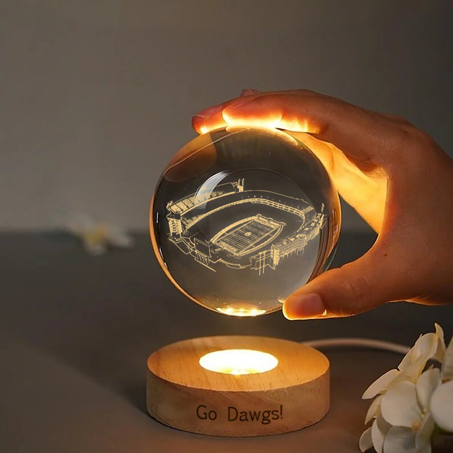 Personalisiertes 3D-Haustierkissen vom Foto. Individuelles Kissen in Hunde-/Katzenform. Einzigartiges Haustiergeschenk für Tierliebhaber.