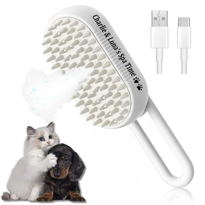 Customized Pet Steam Brush 3 in 1 Massaging Cleaning shedding hair Gift For Pet Lovers