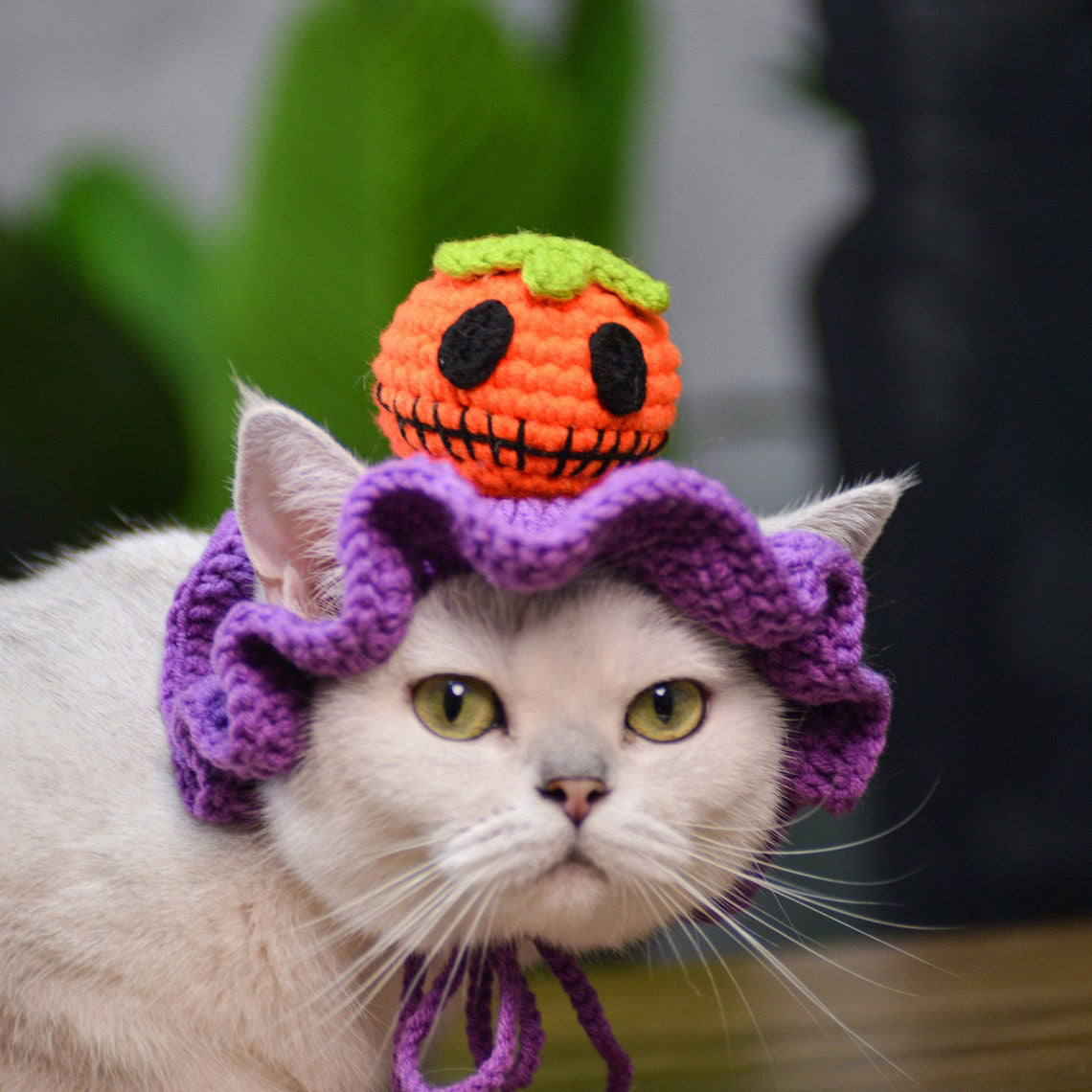 Crochet Pumpkin Pet Hat Halloween Pet Costume Gift for Pet Lovers