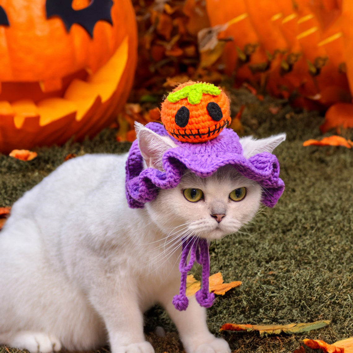 Crochet Pumpkin Pet Hat Halloween Pet Costume Gift for Pet Lovers
