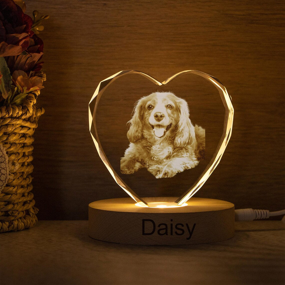 Veilleuse boule de cristal personnalisée avec photo d'animal de compagnie, cadeau commémoratif pour les amoureux des animaux 