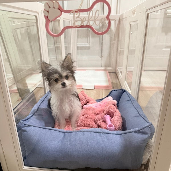 Personalized Dog Bone Crate Sign with Name Custom Pet Name Sign Wall Decor Gift for Pet Lovers