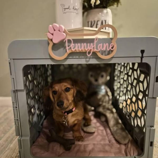 Personalized Dog Bone Crate Sign with Name Custom Pet Name Sign Wall Decor Gift for Pet Lovers