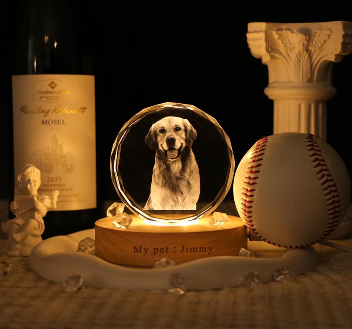 Personalized 3D Crystal Pet Photo Portrait Night Light with Base Gifts for Dog Owners Pet Lover Gift Christmas Gift