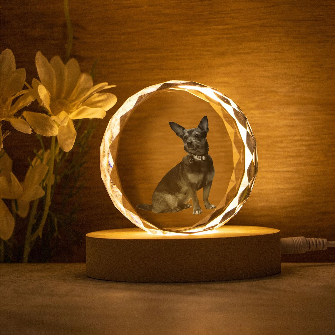 Veilleuse boule de cristal personnalisée avec photo d'animal de compagnie, cadeau commémoratif pour les amoureux des animaux 