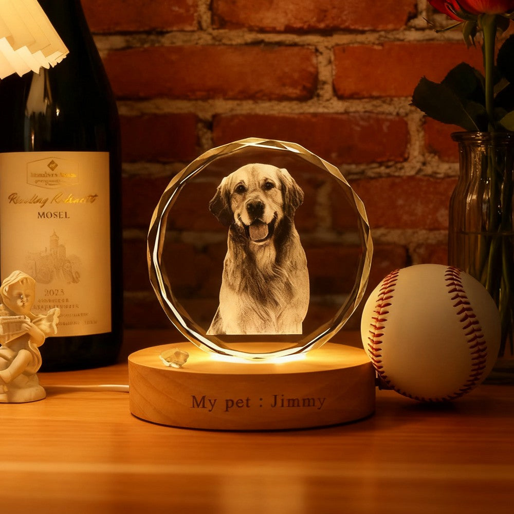 Personalized 3D Crystal Pet Photo Portrait Night Light with Base Gifts for Dog Owners Pet Lover Gift Christmas Gift