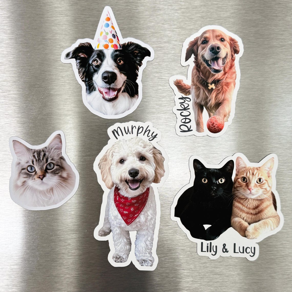 Personalized Pet Photo Fridge Magnet | Custom Dog & Cat Portrait Gift for Home Decor