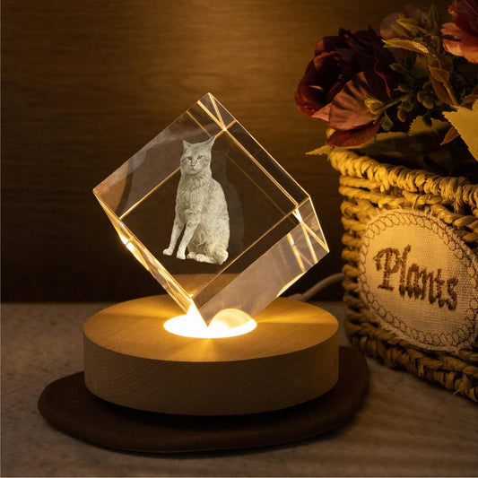 Veilleuse boule de cristal personnalisée avec photo d'animal de compagnie, cadeau commémoratif pour les amoureux des animaux 