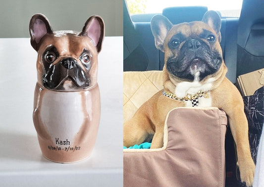 Custom Portrait Pet Urn for Ashes Personalized Dog Pottery Container with Lid Cat Storage Canister Pet Loss Gift