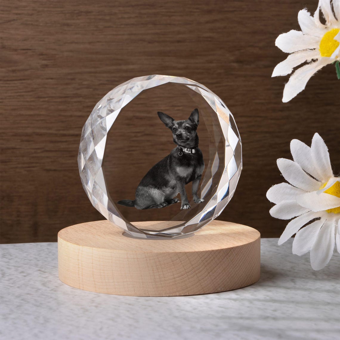 Veilleuse boule de cristal personnalisée avec photo d'animal de compagnie, cadeau commémoratif pour les amoureux des animaux 
