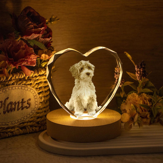 Veilleuse boule de cristal personnalisée avec photo d'animal de compagnie, cadeau commémoratif pour les amoureux des animaux 