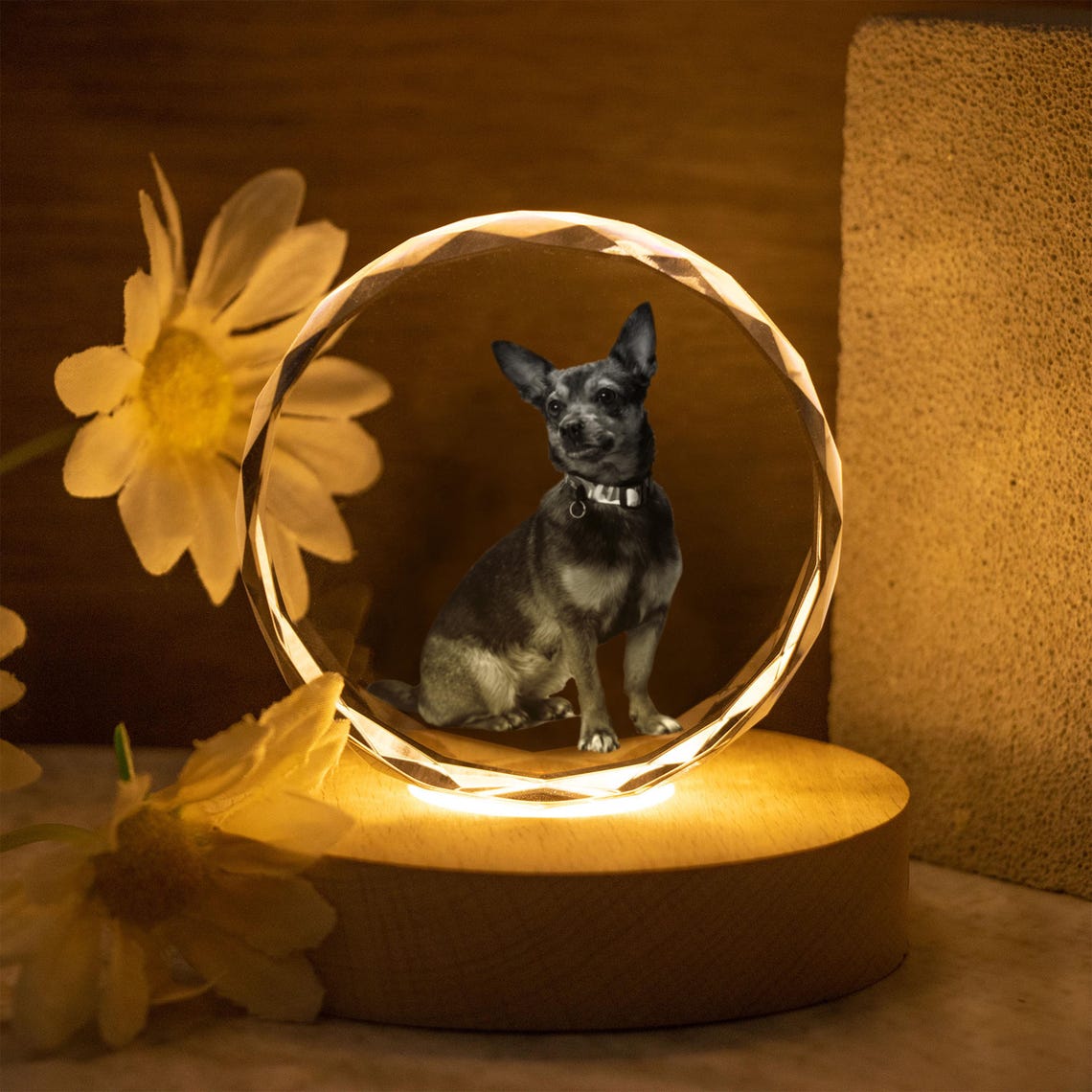 Veilleuse boule de cristal personnalisée avec photo d'animal de compagnie, cadeau commémoratif pour les amoureux des animaux 