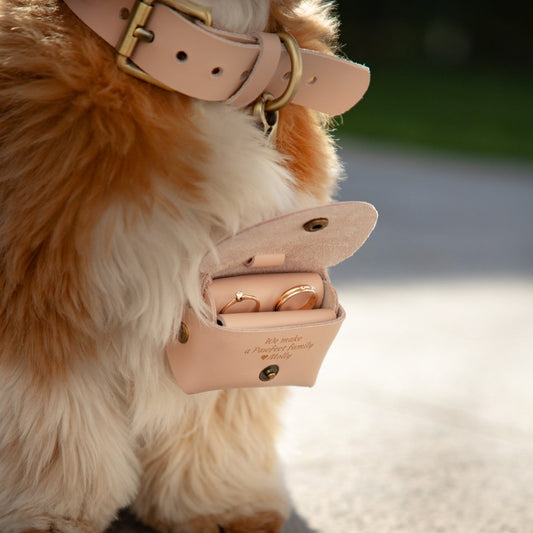 Pet Ring Bearer Pouch & Carrier | Personalized Wedding Ring Box for Dogs & Cats with Initials & Custom Message