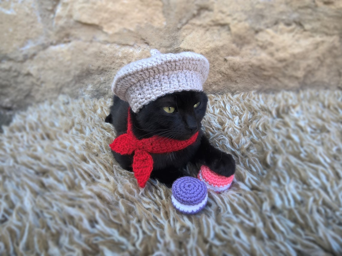 French Beret Pet Crochet Hat Halloween Pet Costume Gift for Pet Lovers