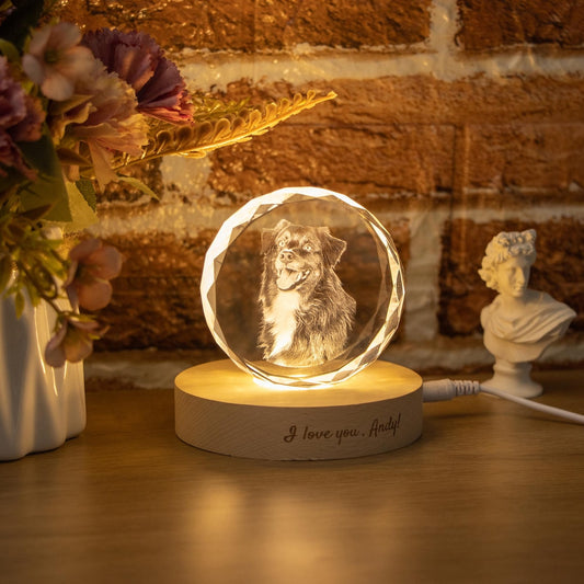 Veilleuse boule de cristal personnalisée avec photo d'animal de compagnie, cadeau commémoratif pour les amoureux des animaux 