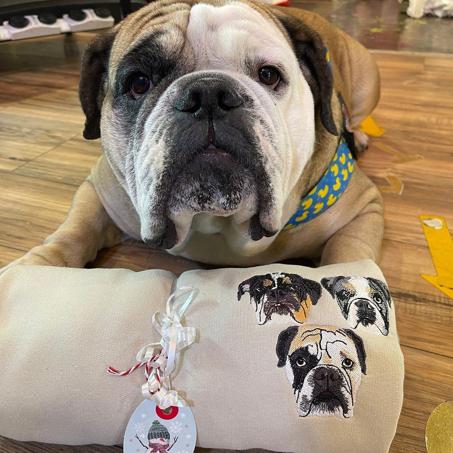 Benutzerdefinierte bestickte Linie Kunst Haustier Portrait Umriss Hoodie Weihnachtsgeschenk für Tierliebhaber