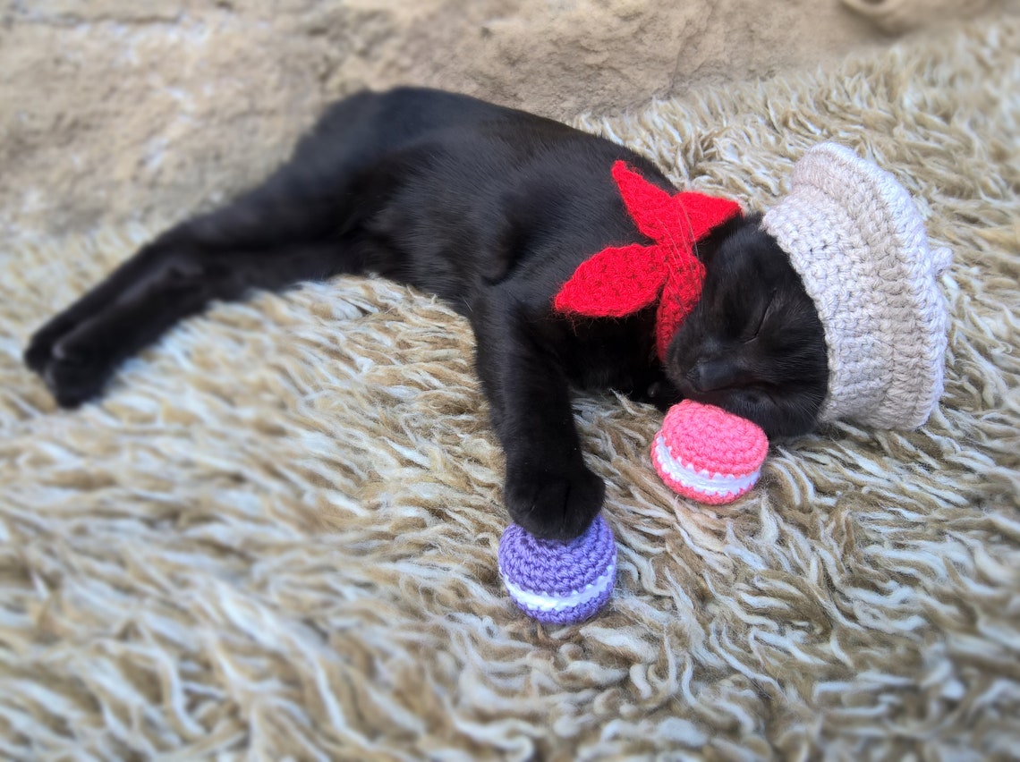French Beret Pet Crochet Hat Halloween Pet Costume Gift for Pet Lovers