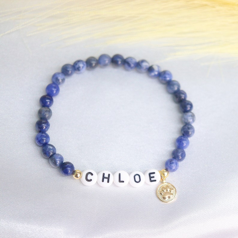 Personalized Pet Name Bracelet – Cat/Dog Name Beaded Bracelet with Paw Charms Gift for Dog Moms Pet Keepsake Gift