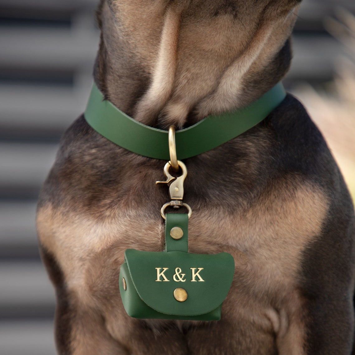 Custom Pet Ring Bearer Pouch | Personalized Wedding Ring Box for Dogs & Cats