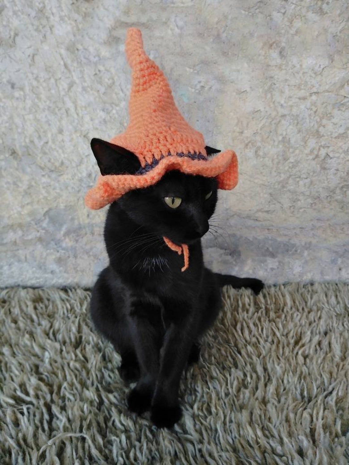 Witch Pet Crochet Hat Halloween Pet Costume Gift for Pet Lovers