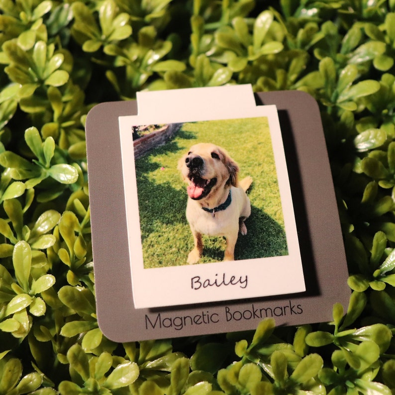 Custom Pet Photo Magnetic Bookmark – Personalized Back To School Gift for Dog & Cat Lovers