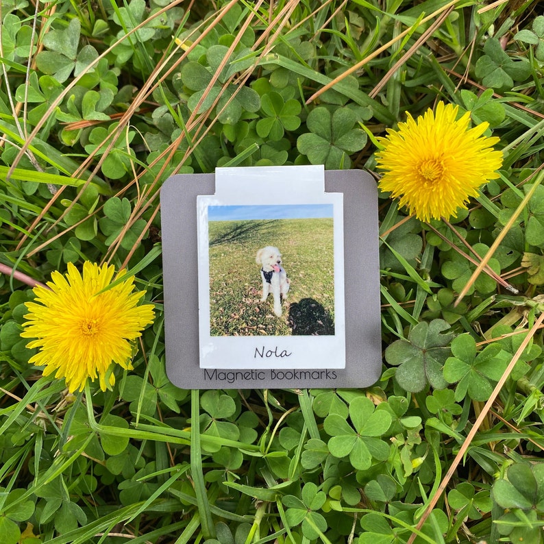 Custom Pet Photo Magnetic Bookmark – Personalized Back To School Gift for Dog & Cat Lovers