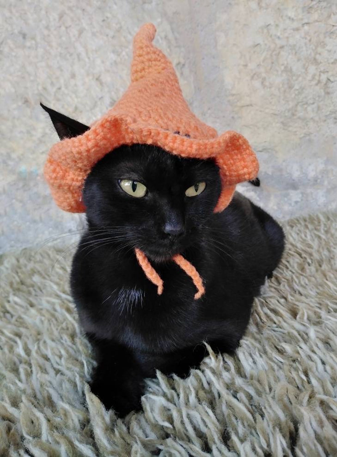 Witch Pet Crochet Hat Halloween Pet Costume Gift for Pet Lovers