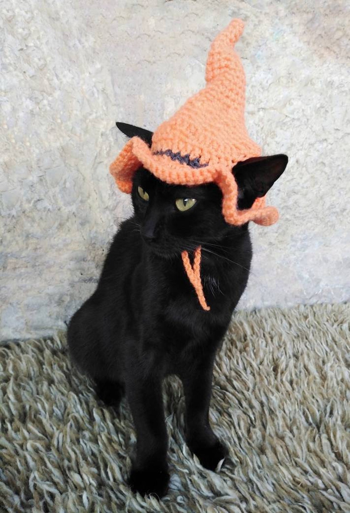 Witch Pet Crochet Hat Halloween Pet Costume Gift for Pet Lovers