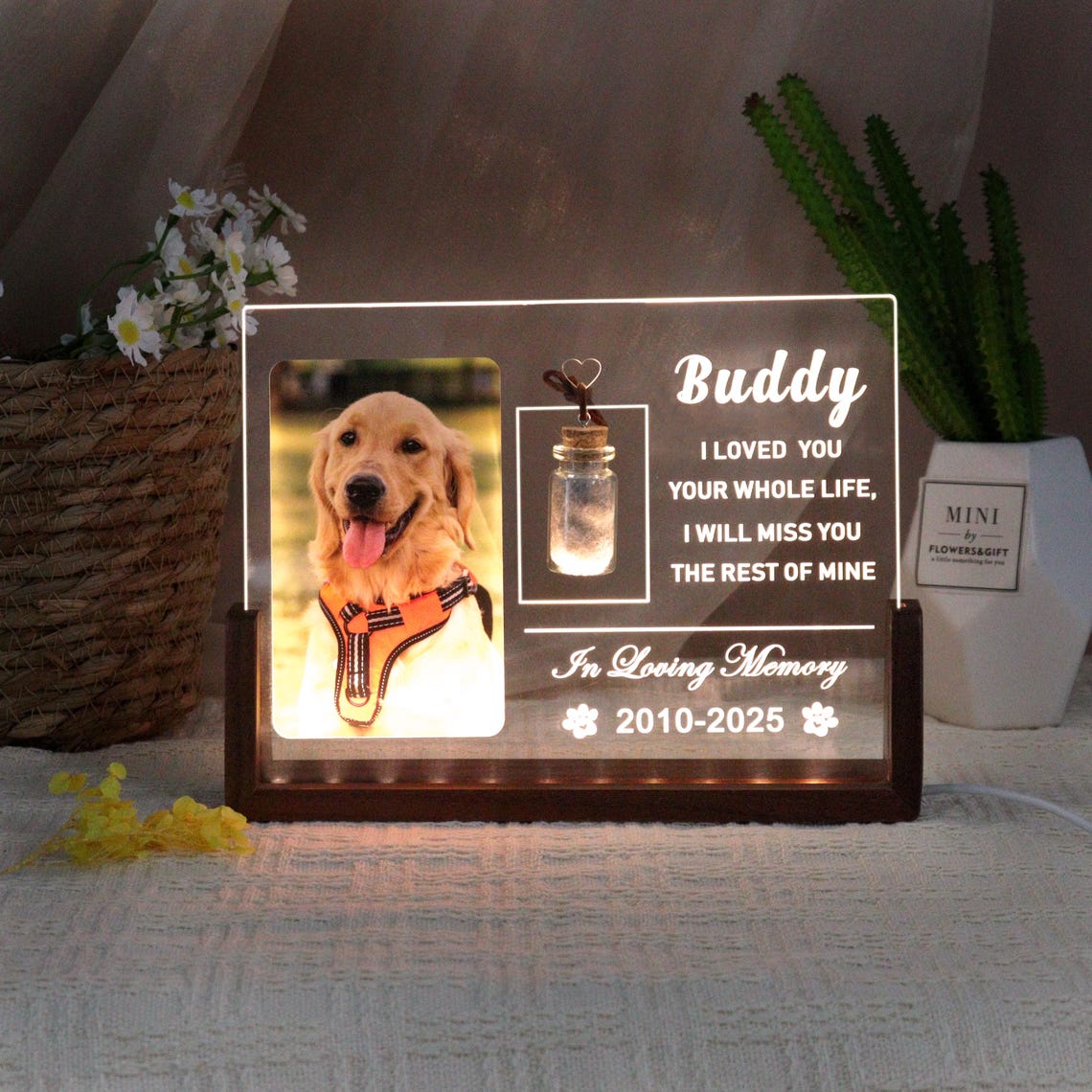 Veilleuse photo personnalisée en forme de patte de chien, cadeau commémoratif pour les amoureux des animaux 