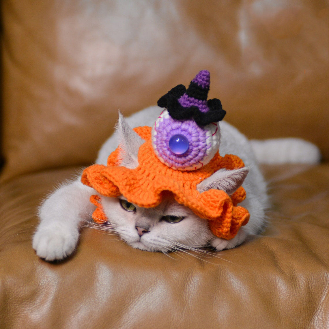 Crochet Eyeball & Mini Witch Pet Hat Halloween Pet Costume Gift for Pet Lovers