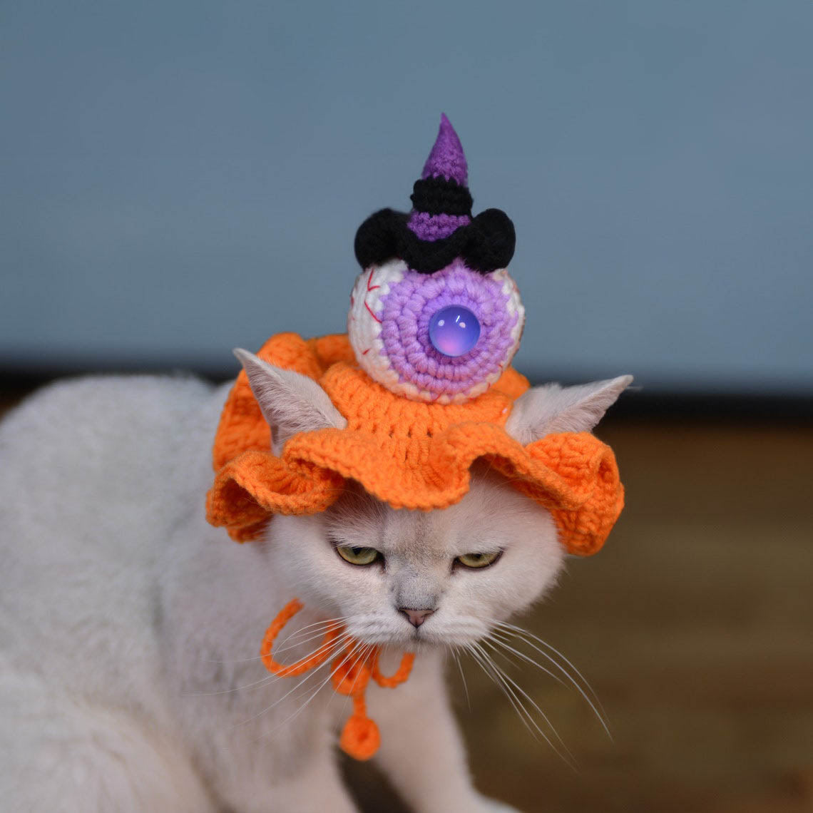 Crochet Eyeball & Mini Witch Pet Hat Halloween Pet Costume Gift for Pet Lovers
