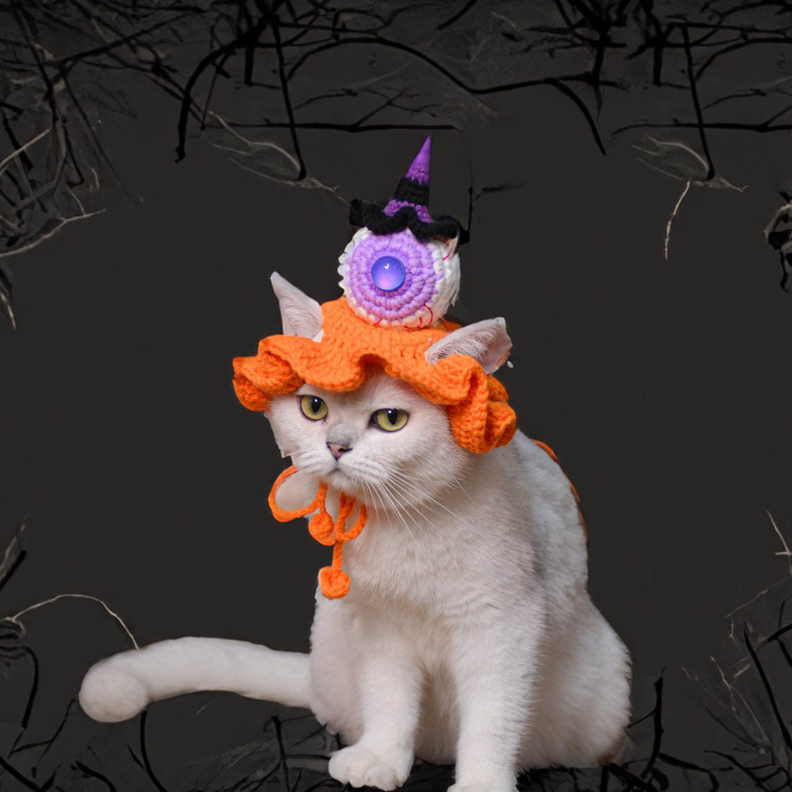 Crochet Eyeball & Mini Witch Pet Hat Halloween Pet Costume Gift for Pet Lovers