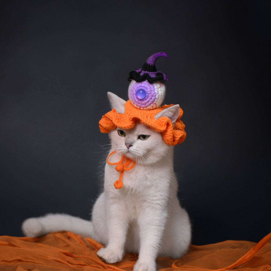 Crochet Eyeball & Mini Witch Pet Hat Halloween Pet Costume Gift for Pet Lovers