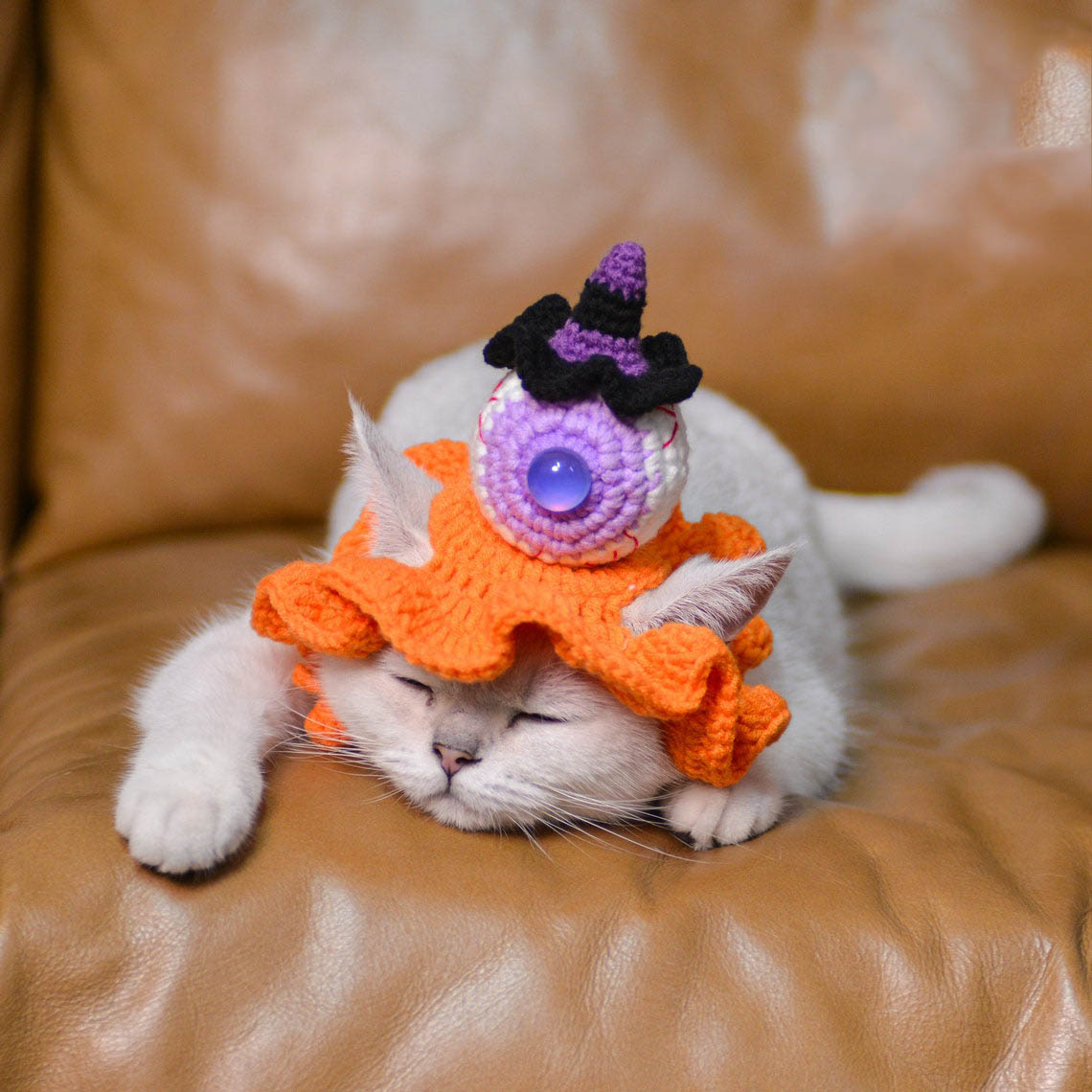Crochet Eyeball & Mini Witch Pet Hat Halloween Pet Costume Gift for Pet Lovers