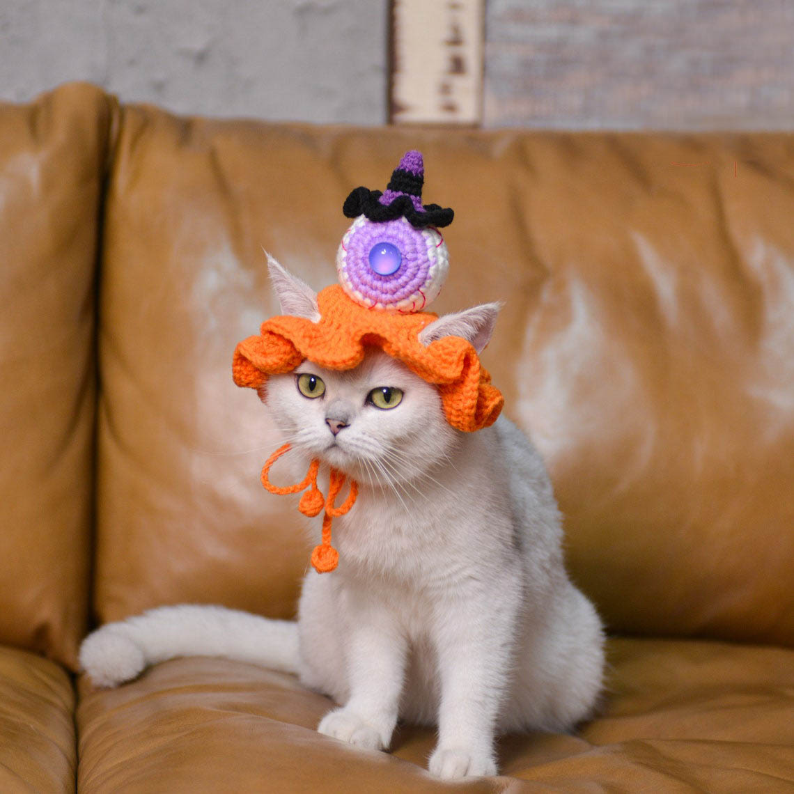 Crochet Eyeball & Mini Witch Pet Hat Halloween Pet Costume Gift for Pet Lovers