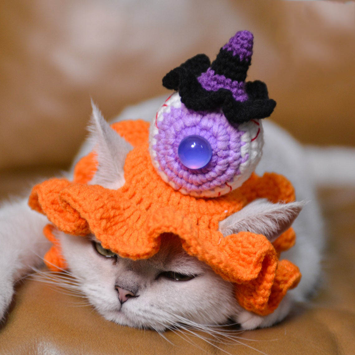 Crochet Eyeball & Mini Witch Pet Hat Halloween Pet Costume Gift for Pet Lovers
