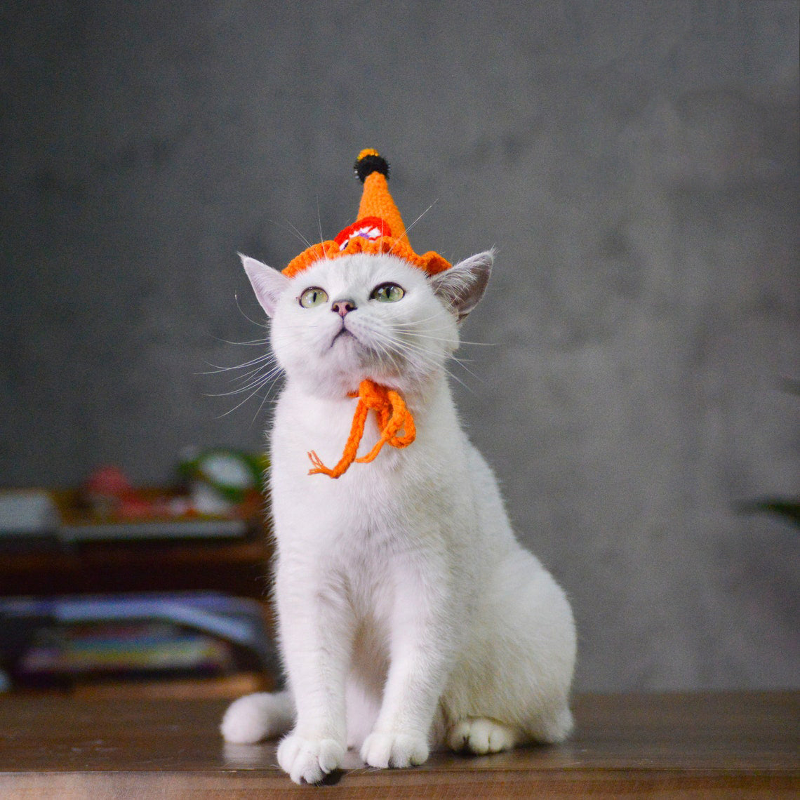 Witch Pet Crochet Hat Halloween Pet Costume Gift for Pet Lovers