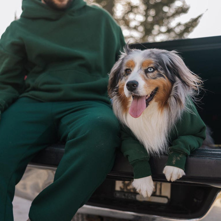 Personalisiertes besticktes Haustiergesicht und Haustiername Sweatshirt Hundeportrait bestickt Crewneck Haustierliebhaber Geschenk