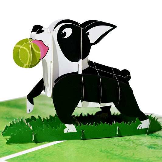 3D Pet Pop Up Gift Card-4