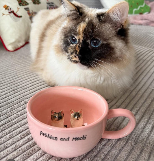 Custom Pet Figurine Mug Christmas Keepsake Gift for Dog Cat Lovers