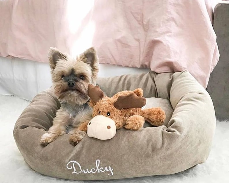 Cuchara para comida con huella de pata de perro personalizada y nombre, regalo para amantes de los perros