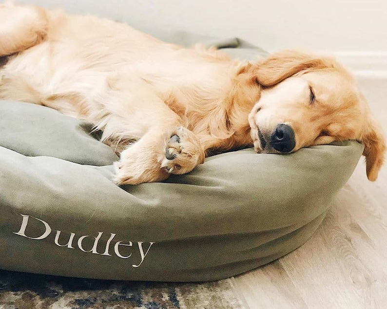 Cuchara para comida con huella de pata de perro personalizada y nombre, regalo para amantes de los perros