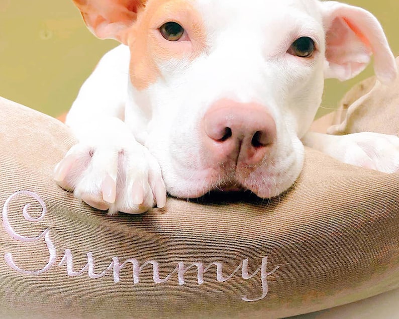 Cuchara para comida con huella de pata de perro personalizada y nombre, regalo para amantes de los perros