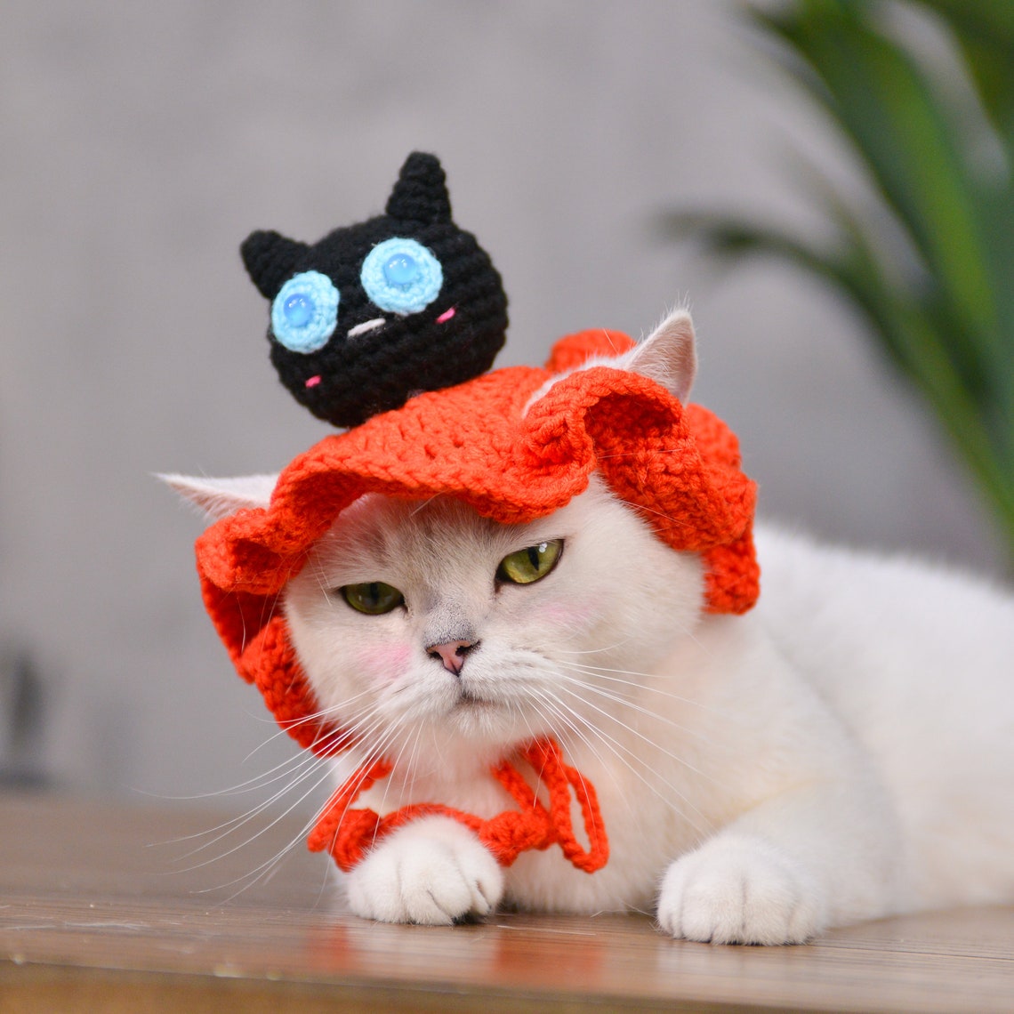 Pumpkin Black Cat Crochet Pet Hat Halloween Pet Costume Gift for Pet Lovers