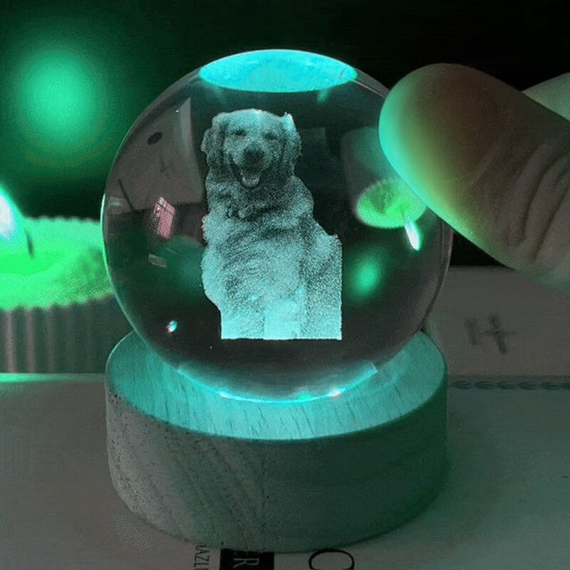Personalized Pet Picture Crystal Ball Night Light Pet Memorial Gift for Pet Lovers